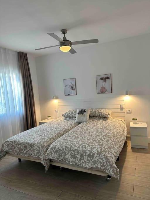 Pachi Beach Alisios Playa 코라레호 외부 사진